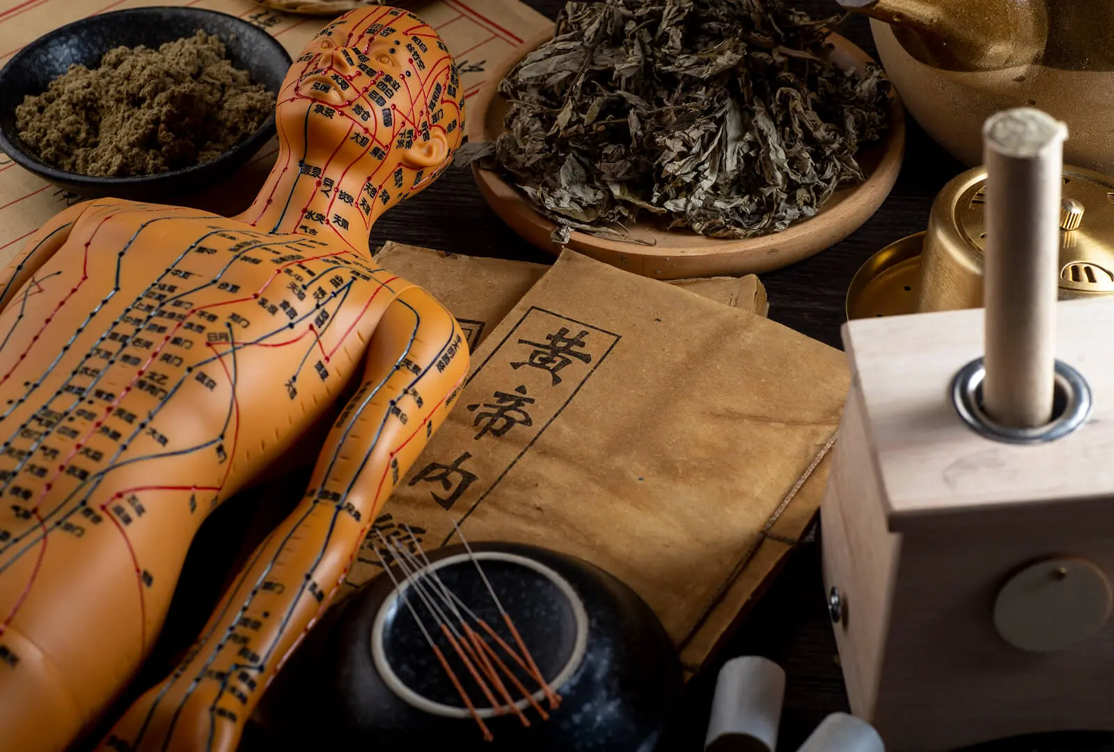 img 07 Collection of traditional Chinese medicine items including an acupuncture model, herbs, and a book.